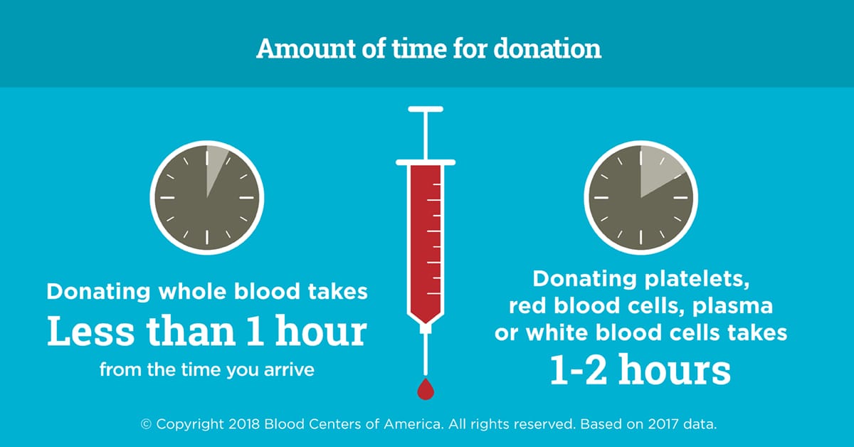 Impact Life Infographic